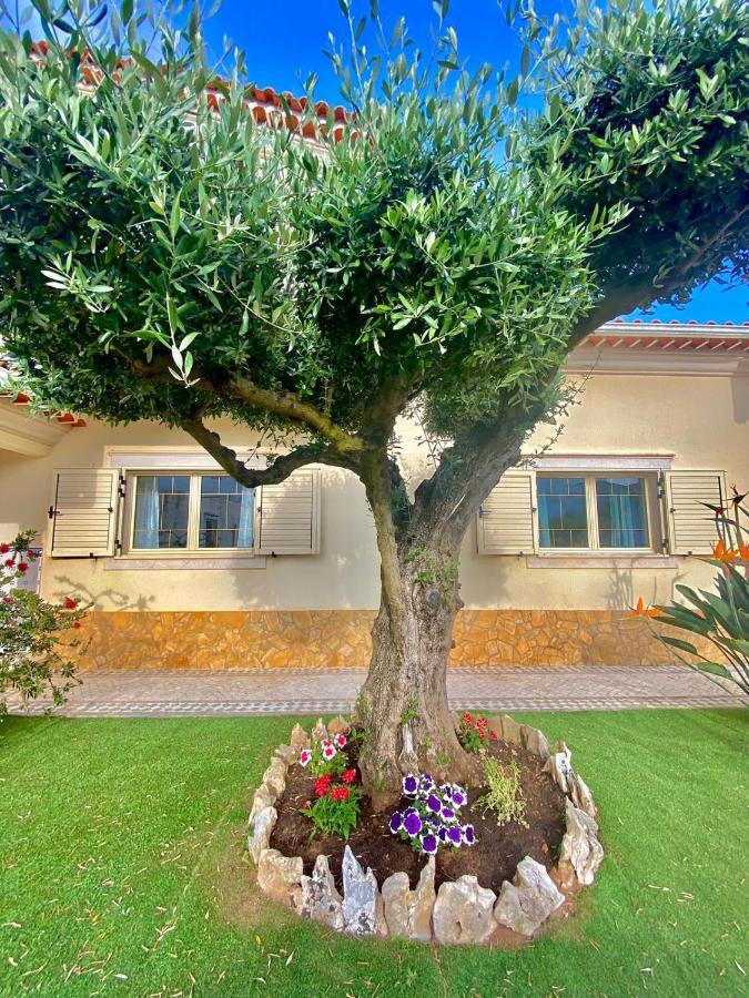 Casa Das Laranjeiras Alqueidão da Serra Dış mekan fotoğraf