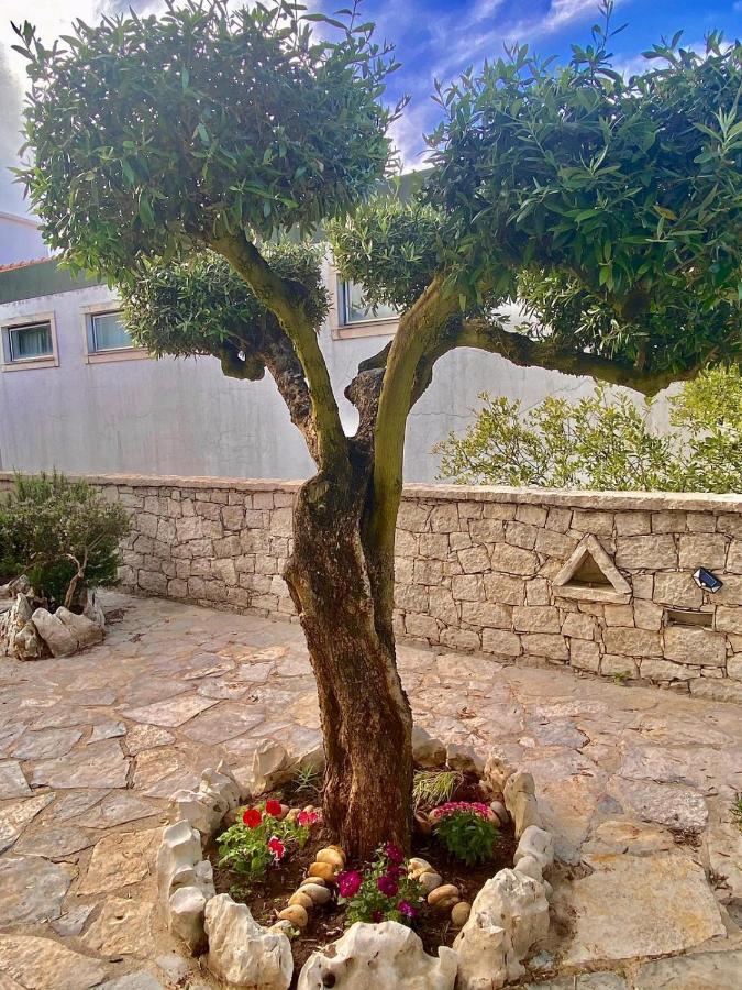 Casa Das Laranjeiras Alqueidão da Serra Dış mekan fotoğraf