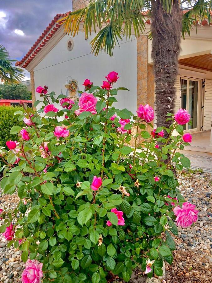 Casa Das Laranjeiras Alqueidão da Serra Dış mekan fotoğraf